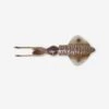 Savage Gear Leurre De Pêche En Mer 3D SWIM SQUID 12.5 CM CUTTLEFISH -Pêche Passion Soldes leurre de peche en mer 3d swim squid 125 cm cuttlefish