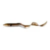 No Brand LEURRES SOUPLES EAU DOUCE REAL EEL 20CM 27G OLIVE X2 -Pêche Passion Soldes leurres souples eau douce real eel 20cm 27g olive x2
