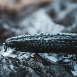 Poisson Nageur SAXTON 110F Mack Vert Pêche Au Leurre En Mer -Pêche Passion Soldes poisson nageur saxton 110f mack vert peche au leurre en mer 7